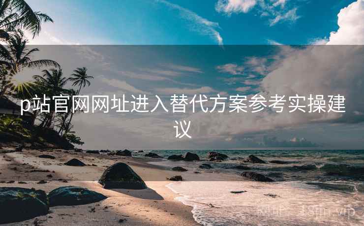 p站官网网址进入替代方案参考实操建议  第1张