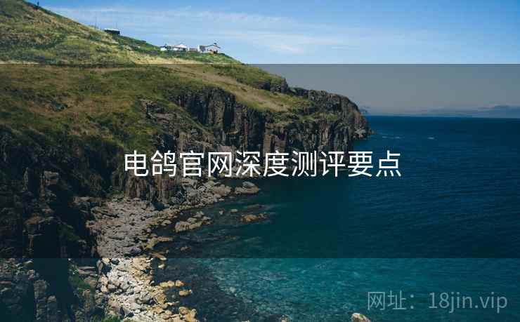 电鸽官网深度测评要点  第1张