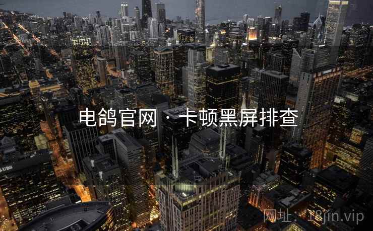 电鸽官网 · 卡顿黑屏排查  第1张