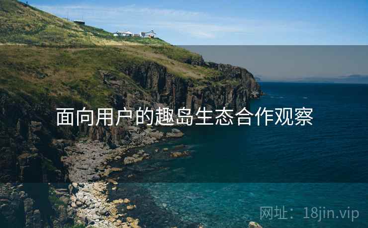 面向用户的趣岛生态合作观察  第1张