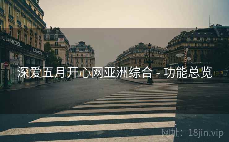 深爱五月开心网亚洲综合 - 功能总览  第1张