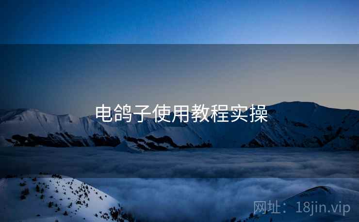 电鸽子使用教程实操  第1张