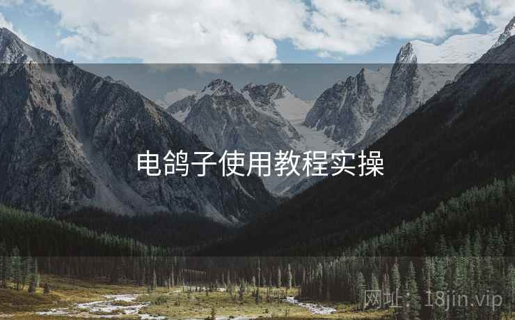 电鸽子使用教程实操  第2张