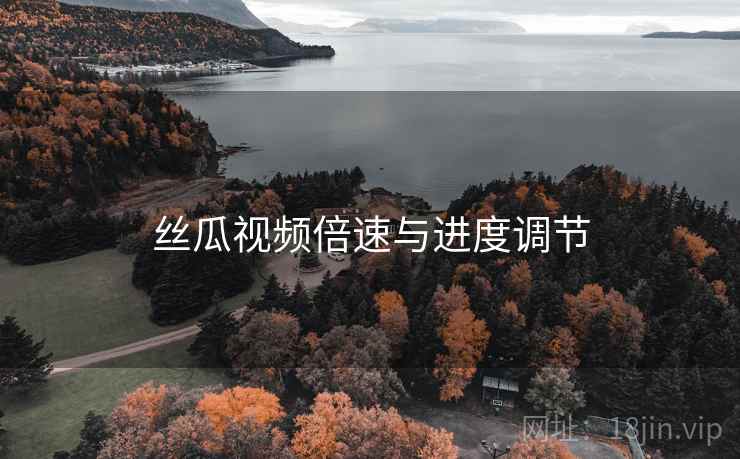 丝瓜视频倍速与进度调节  第1张