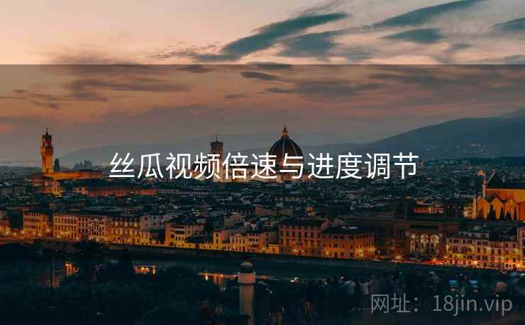 丝瓜视频倍速与进度调节  第2张