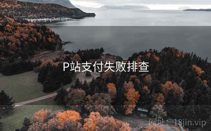 P站支付失败排查  第2张