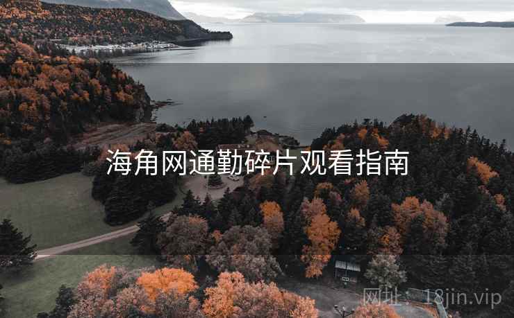 海角网通勤碎片观看指南  第1张