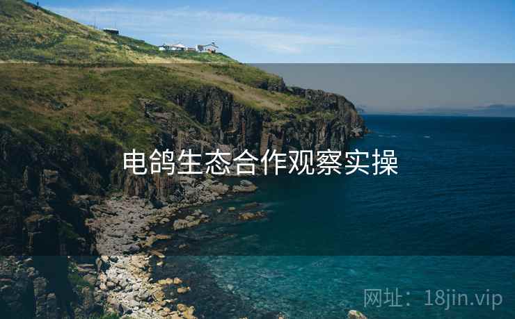 电鸽生态合作观察实操  第1张