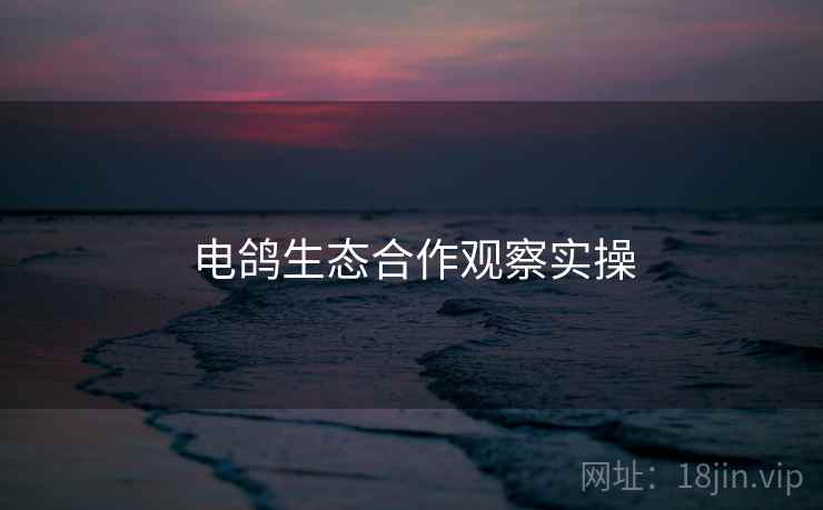 电鸽生态合作观察实操  第2张