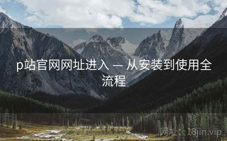 p站官网网址进入 — 从安装到使用全流程  第2张