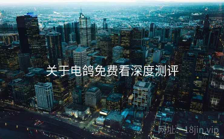 关于电鸽免费看深度测评  第2张