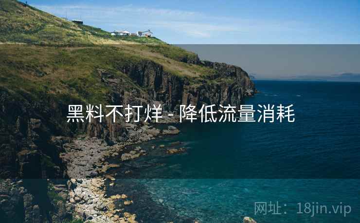 黑料不打烊 - 降低流量消耗  第1张