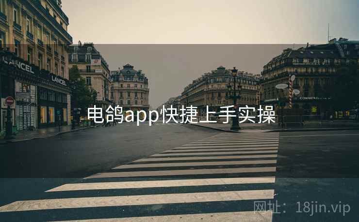 电鸽app快捷上手实操  第2张