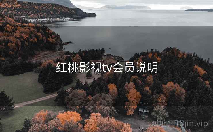 红桃影视tv会员说明  第1张