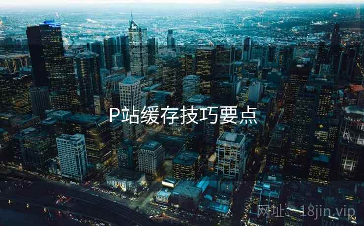 P站缓存技巧要点  第2张