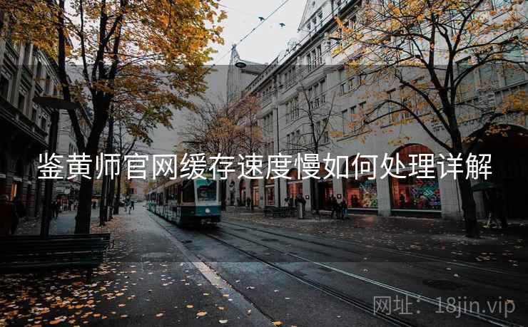 鉴黄师官网缓存速度慢如何处理详解  第1张