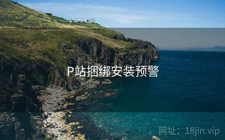 P站捆绑安装预警  第2张
