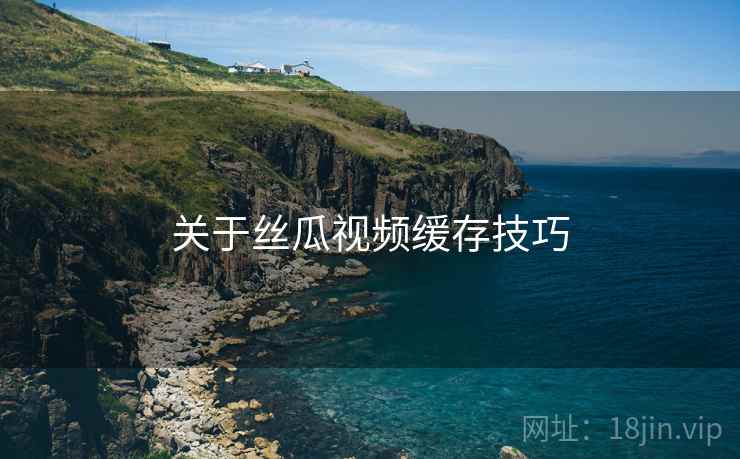 关于丝瓜视频缓存技巧  第2张