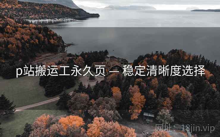 p站搬运工永久页 — 稳定清晰度选择  第2张