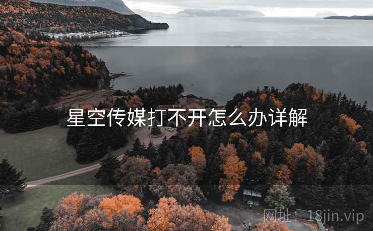 星空传媒打不开怎么办详解  第2张