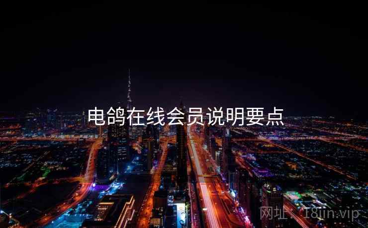 电鸽在线会员说明要点  第1张
