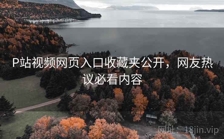 P站视频网页入口收藏夹公开，网友热议必看内容  第2张