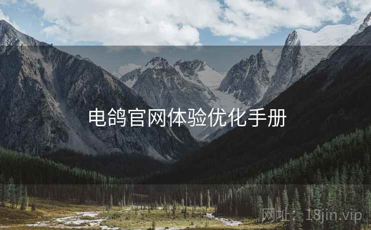 电鸽官网体验优化手册  第2张
