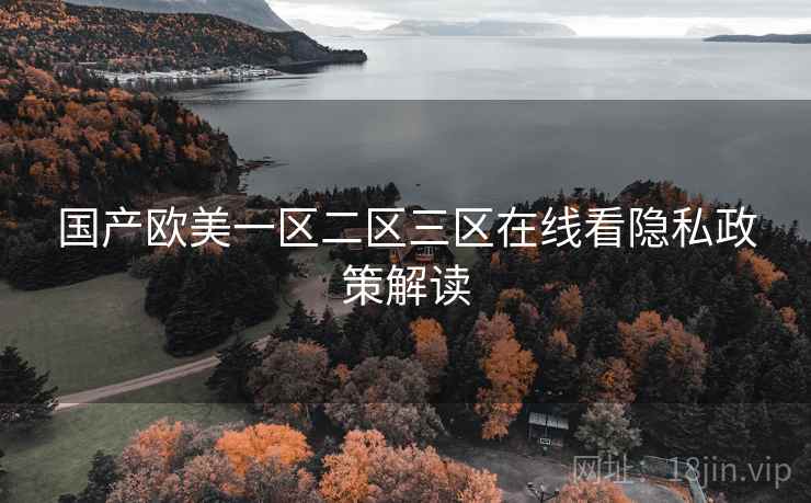 国产欧美一区二区三区在线看隐私政策解读  第1张