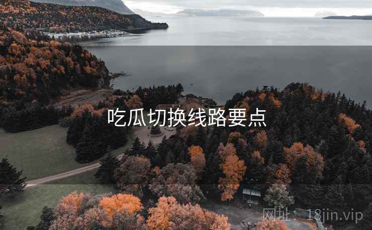 吃瓜切换线路要点  第1张