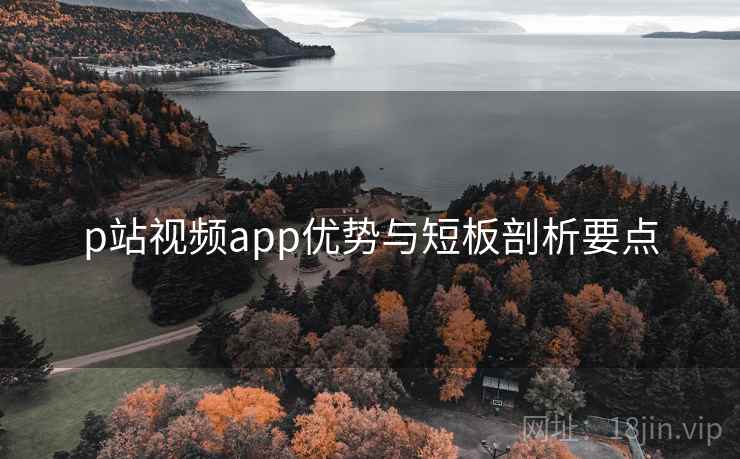 p站视频app优势与短板剖析要点  第1张